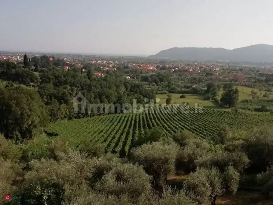 Immagine 9 di Villa in vendita  a Castelnuovo Magra