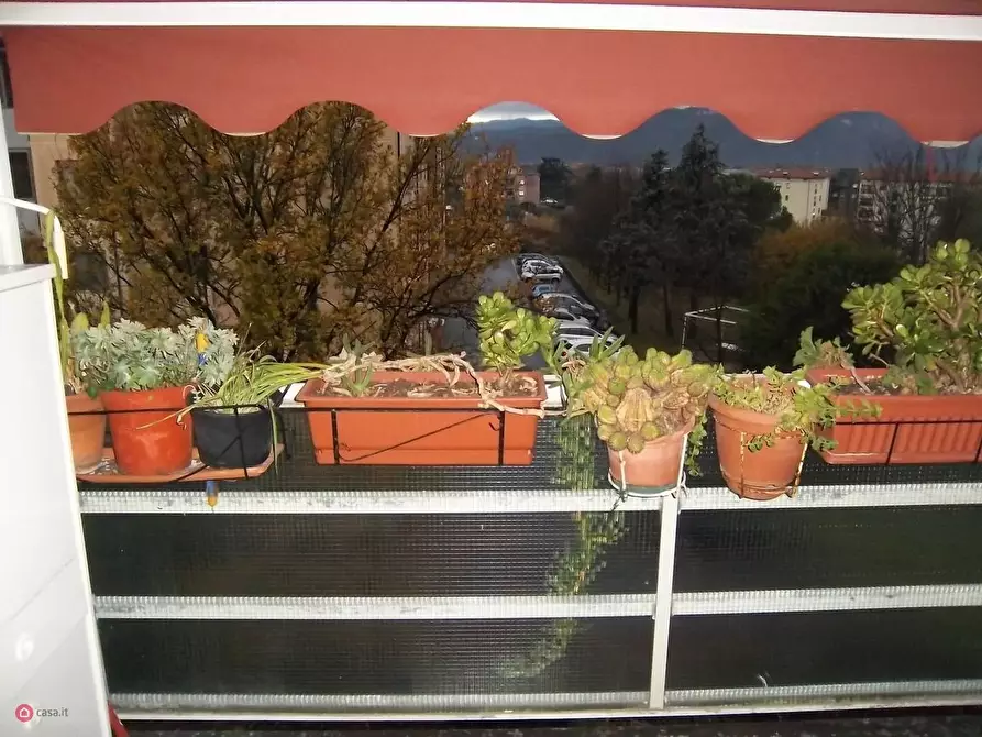 Immagine 6 di Appartamento in vendita  a Santo Stefano Di Magra