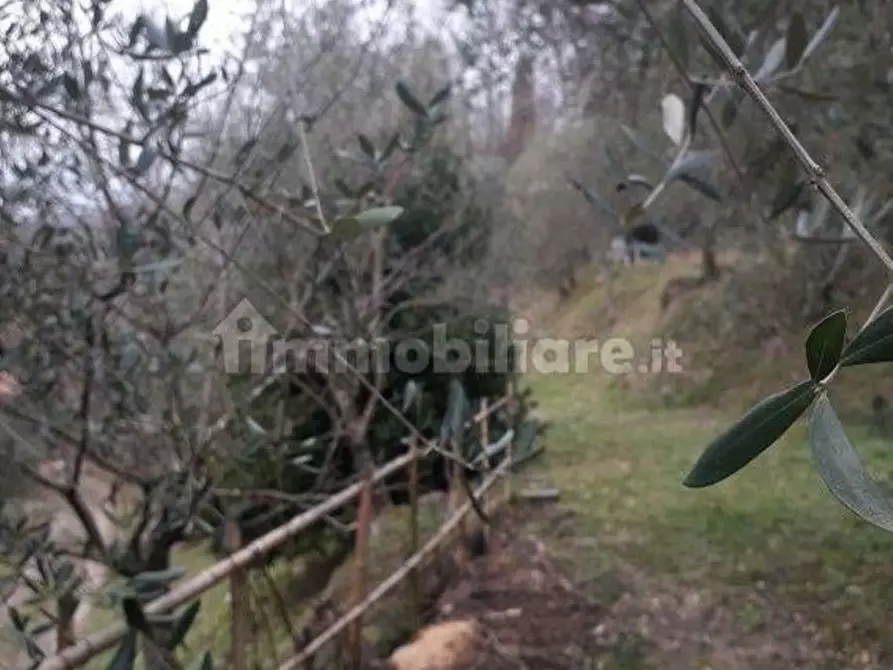 Immagine 11 di Villa in vendita  a Fivizzano