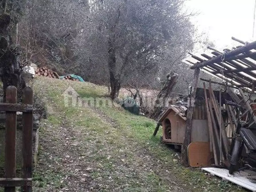 Immagine 3 di Villa in vendita  a Fivizzano