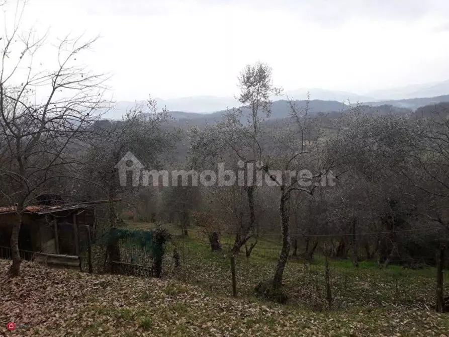 Immagine 9 di Villa in vendita  a Fivizzano