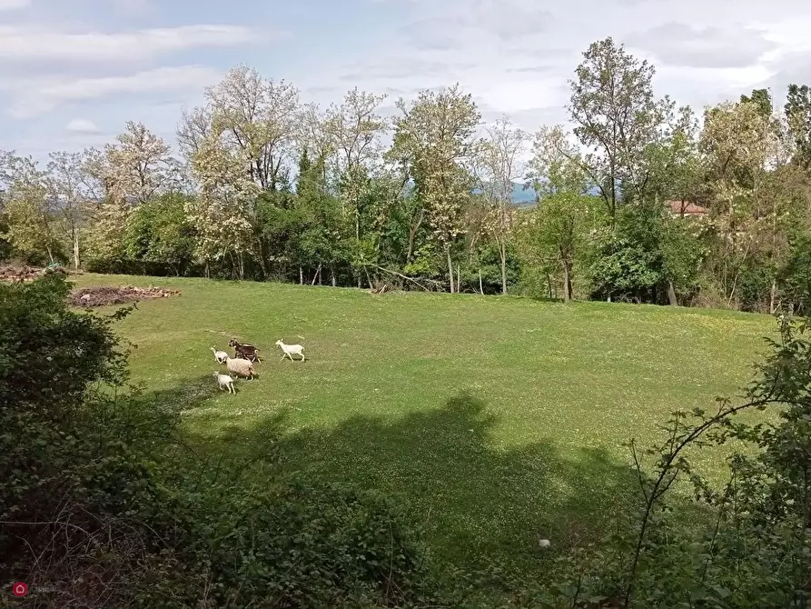 Immagine 13 di Casa indipendente in vendita  in Via Giuseppe Garibaldi Debico 26 a Fivizzano