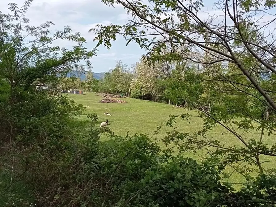 Immagine 15 di Casa indipendente in vendita  in Via Giuseppe Garibaldi Debico 26 a Fivizzano