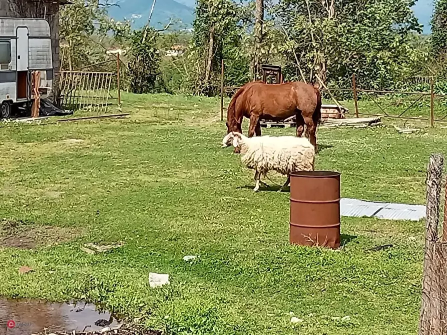 Immagine 18 di Casa indipendente in vendita  in Via Giuseppe Garibaldi Debico 26 a Fivizzano