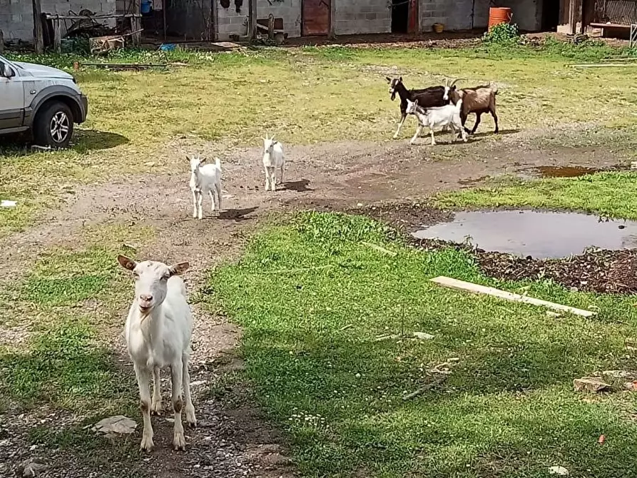 Immagine 8 di Casa indipendente in vendita  in Via Giuseppe Garibaldi Debico 26 a Fivizzano