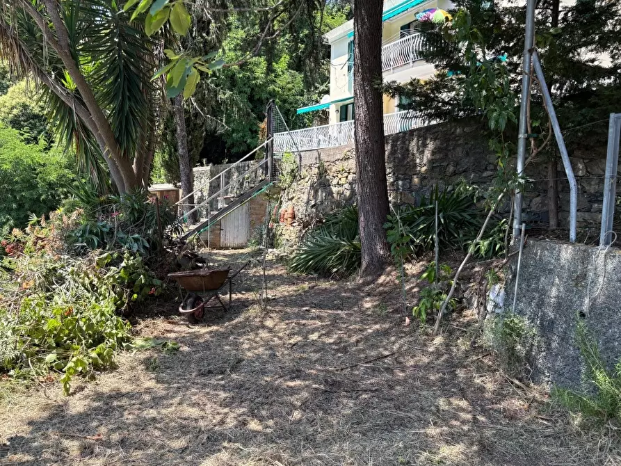 Immagine 18 di Casa indipendente in vendita  a Cogoleto