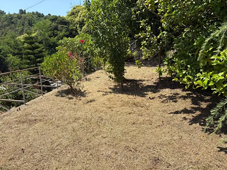 Immagine 20 di Casa indipendente in vendita  a Cogoleto