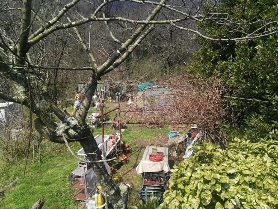 Immagine 4 di Terreno agricolo in vendita  in via Pero a Varazze