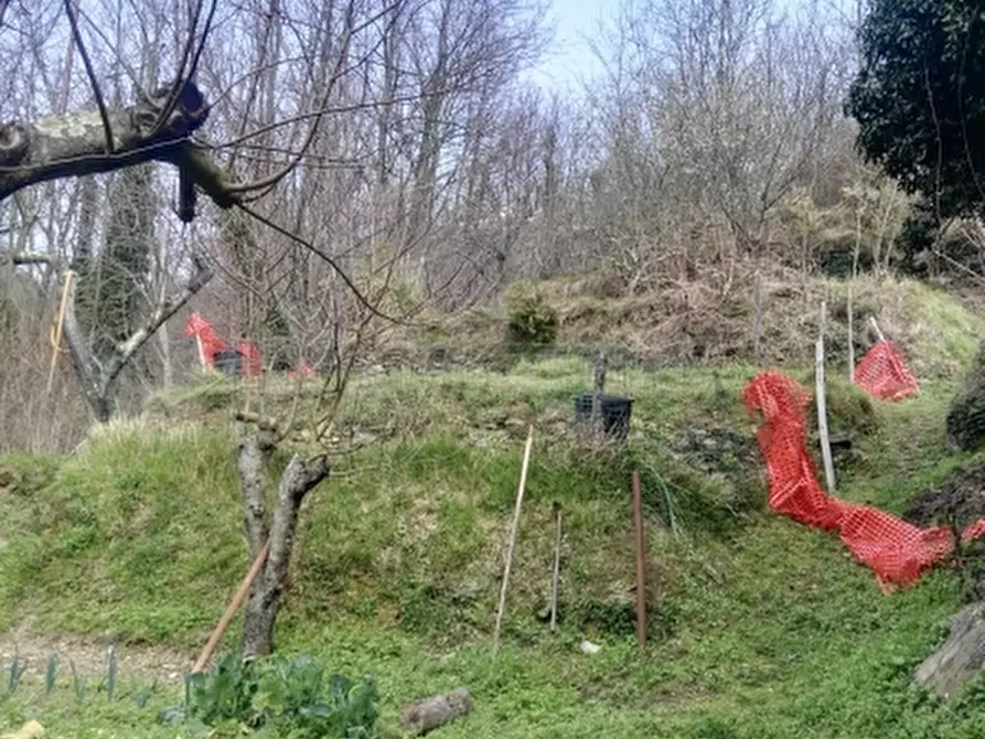 Immagine 5 di Terreno agricolo in vendita  in via Pero a Varazze