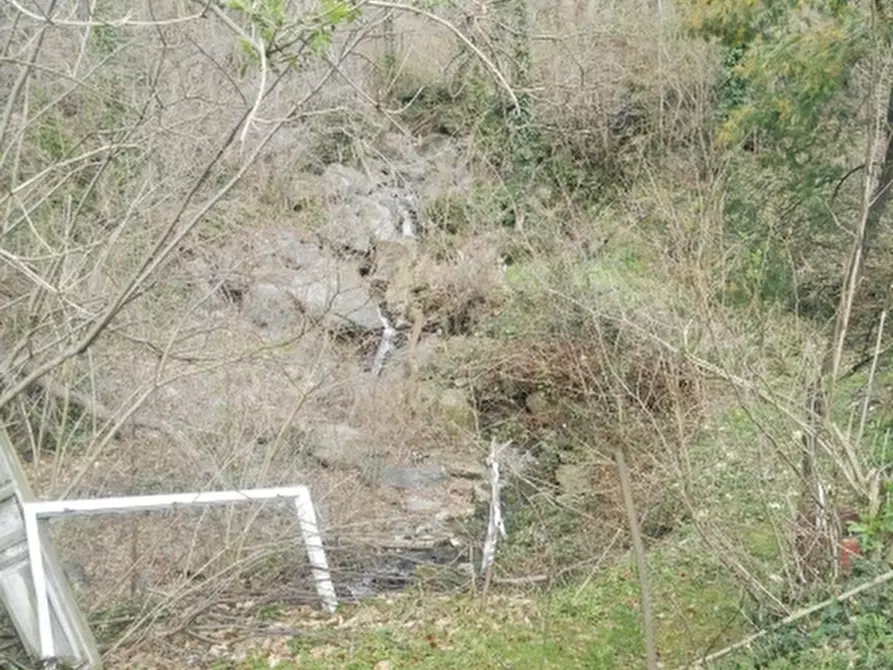 Immagine 8 di Terreno agricolo in vendita  in via Pero a Varazze
