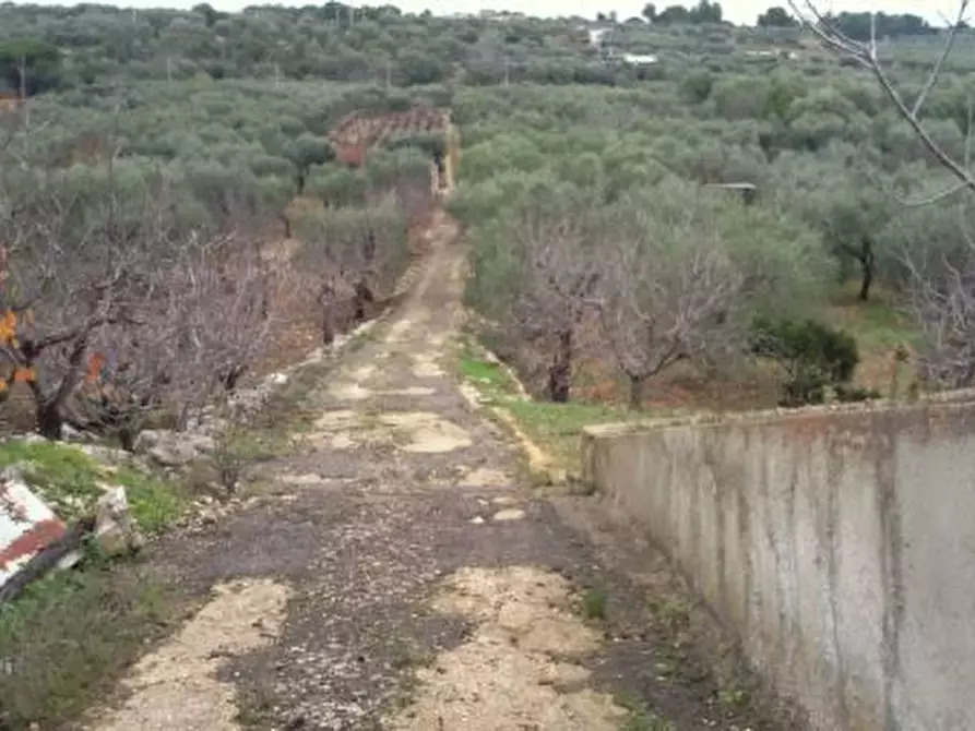 Immagine 2 di Terreno agricolo in vendita  in Contrada Procita a Modugno