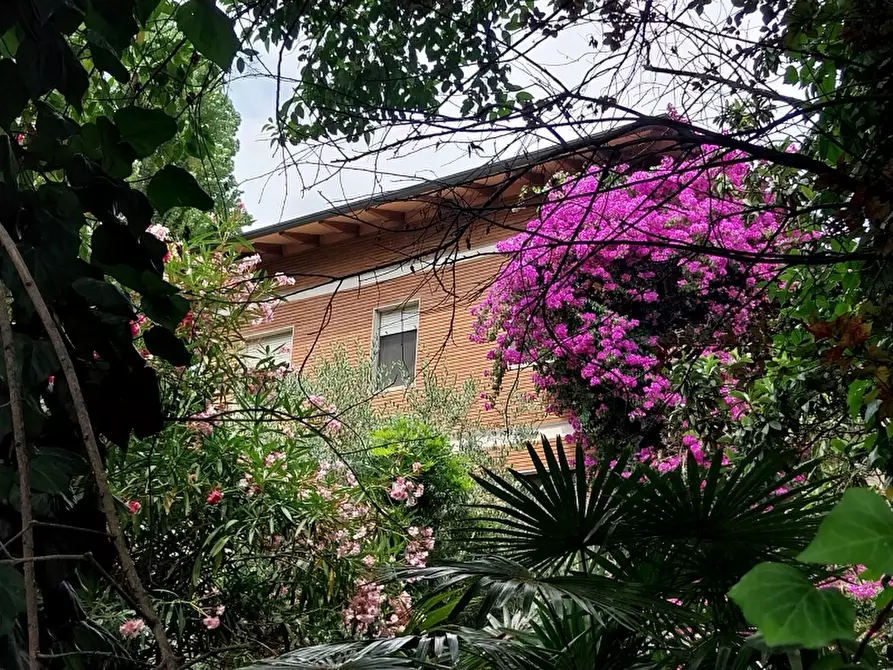 Immagine 2 di Appartamento in vendita  in Via Martiri di S.Anna a Pietrasanta