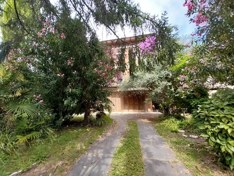 Immagine 3 di Appartamento in vendita  in Via Martiri di S.Anna a Pietrasanta