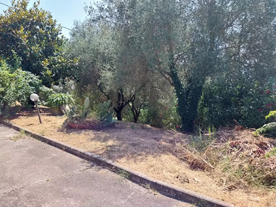 Immagine 4 di Villa in vendita  in Via Silerchie a Camaiore