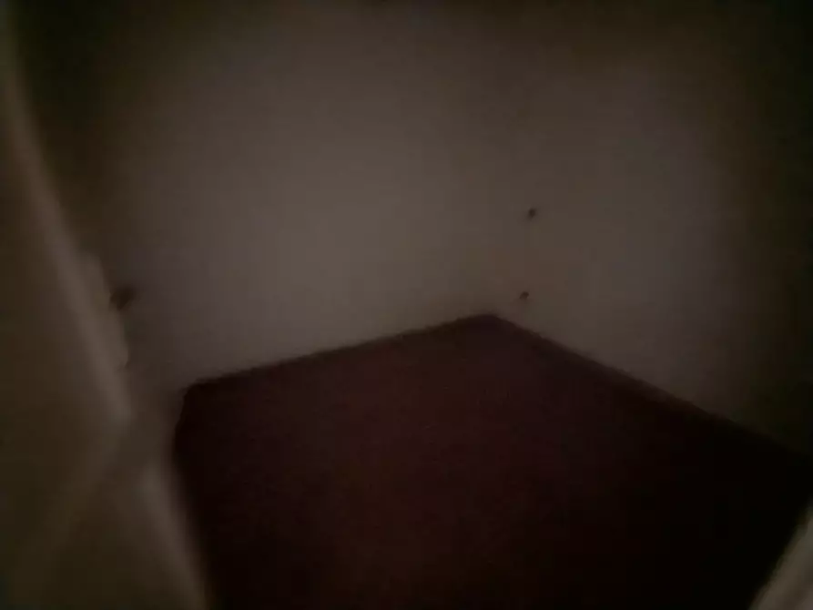 Immagine 22 di Villa in vendita  in Via Silerchie a Camaiore