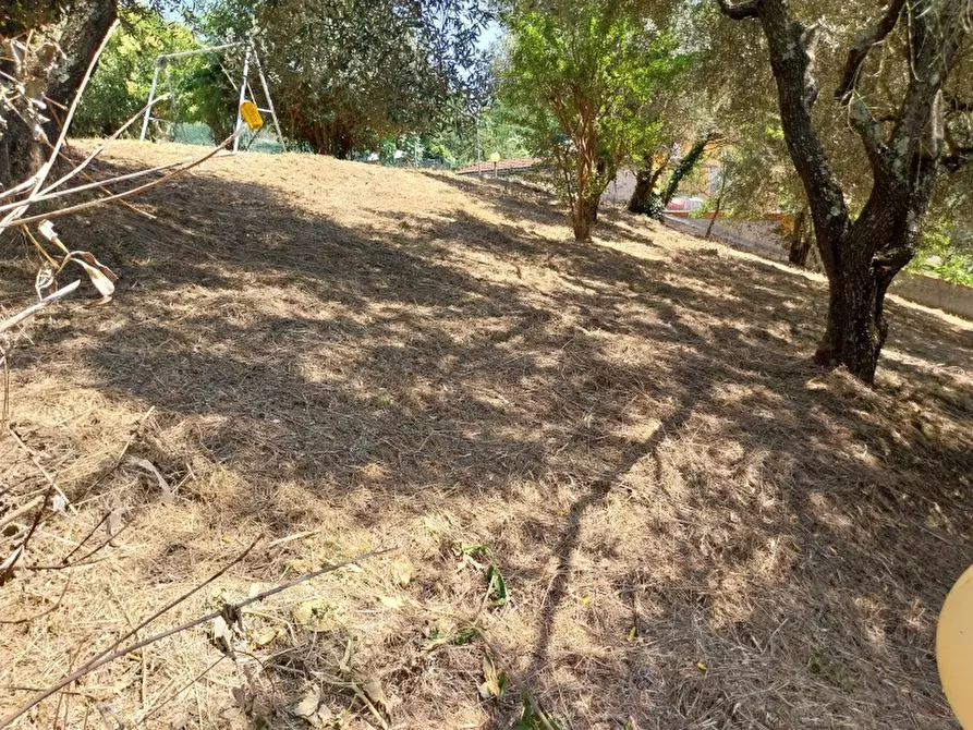 Immagine 32 di Villa in vendita  in Via Silerchie a Camaiore