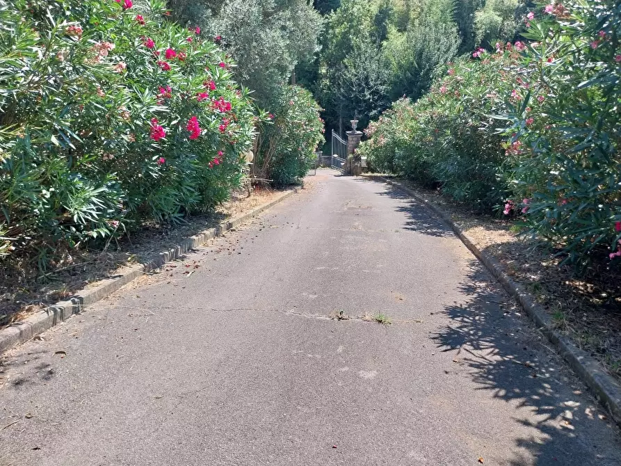 Immagine 33 di Villa in vendita  in Via Silerchie a Camaiore