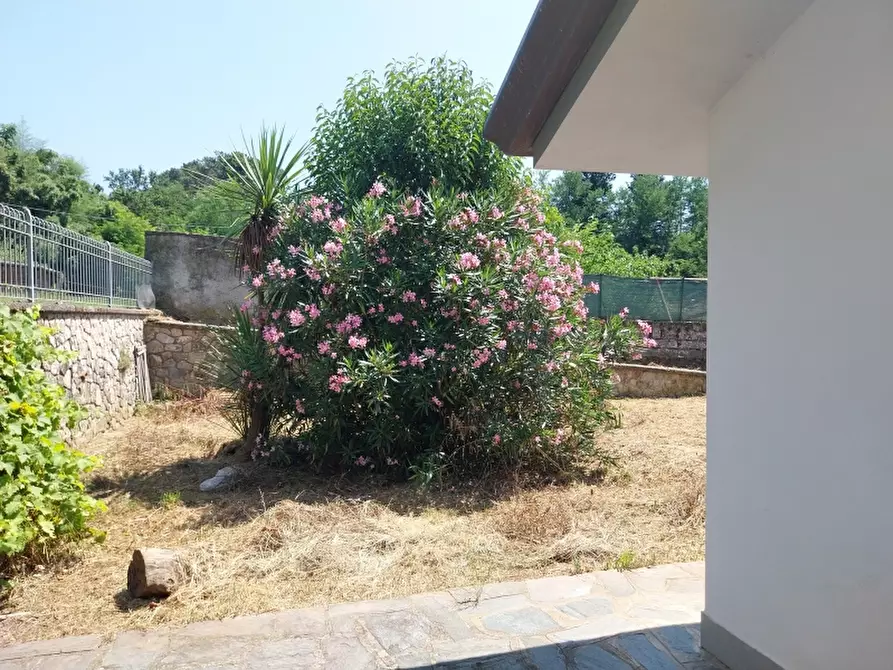 Immagine 36 di Villa in vendita  in Via Silerchie a Camaiore
