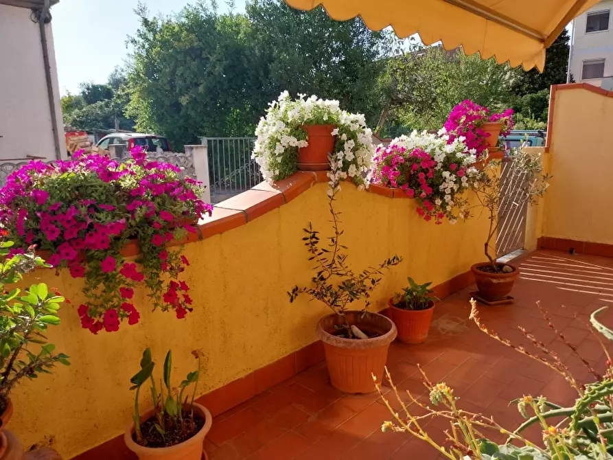 Immagine 3 di Casa indipendente in vendita  in Via Ottorino Ciabattini a Viareggio