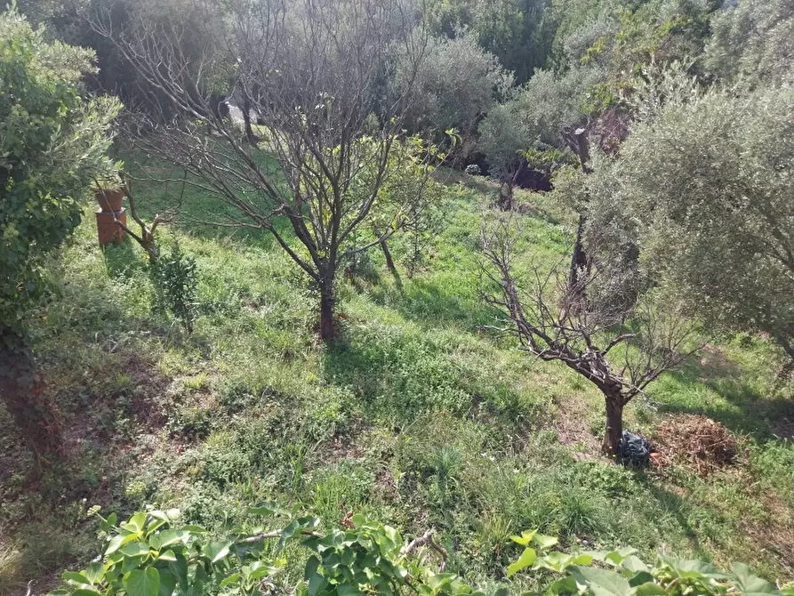 Immagine 20 di Villa in vendita  in Via dei Colli a Massa