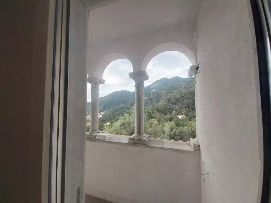 Immagine 29 di Villa in vendita  in Via dei Colli a Massa