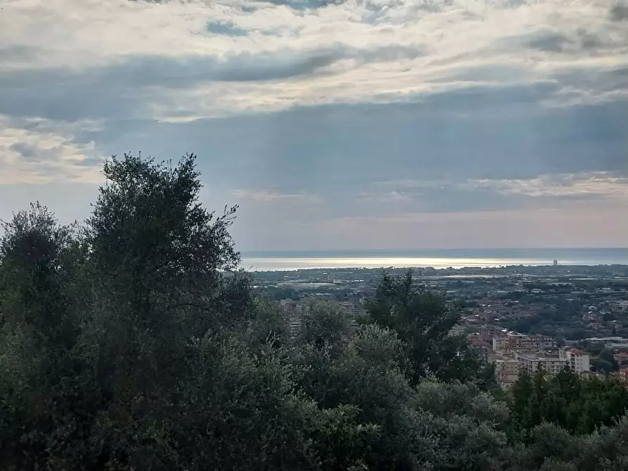 Immagine 37 di Villa in vendita  in Via dei Colli a Massa