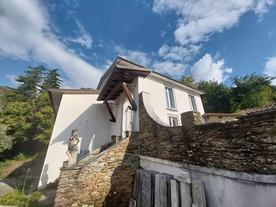 Immagine 5 di Villa in vendita  in Via dei Colli a Massa