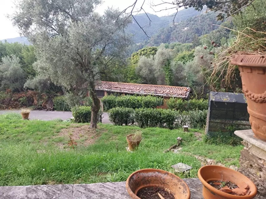 Immagine 40 di Villa in vendita  in Via dei Colli a Massa