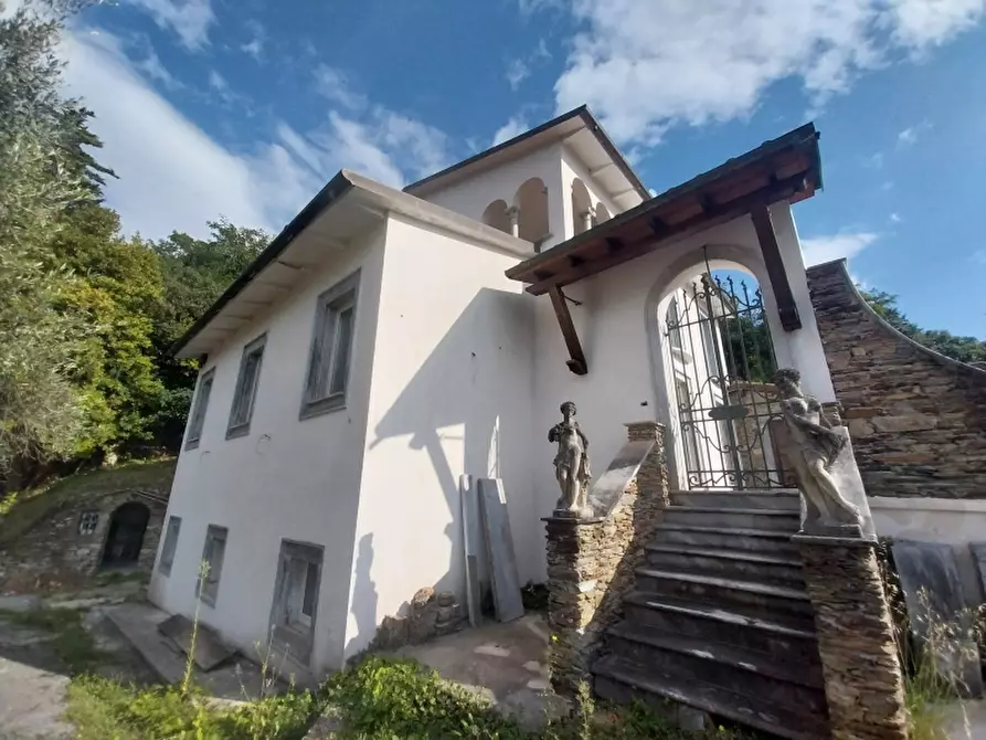 Immagine 6 di Villa in vendita  in Via dei Colli a Massa