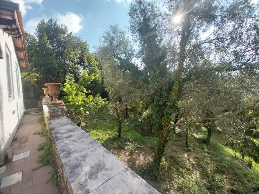 Immagine 9 di Villa in vendita  in Via dei Colli a Massa