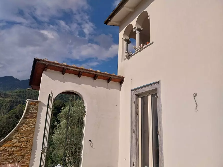 Immagine 10 di Villa in vendita  in Via dei Colli a Massa