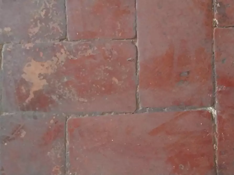 Immagine 15 di Casa indipendente in vendita  in Via Provinciale a Camaiore