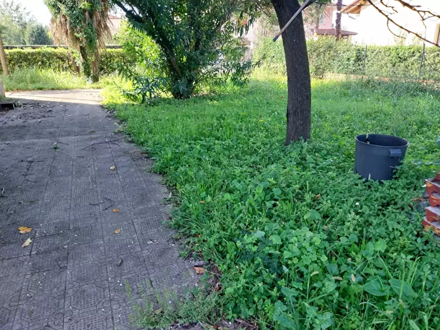 Immagine 5 di Casa indipendente in vendita  in Via Provinciale a Camaiore