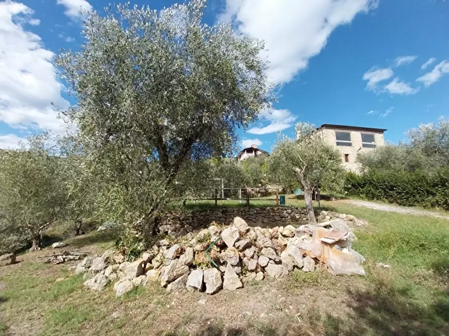 Immagine 11 di Rustico / casale in vendita  in via di bargecchia a Camaiore