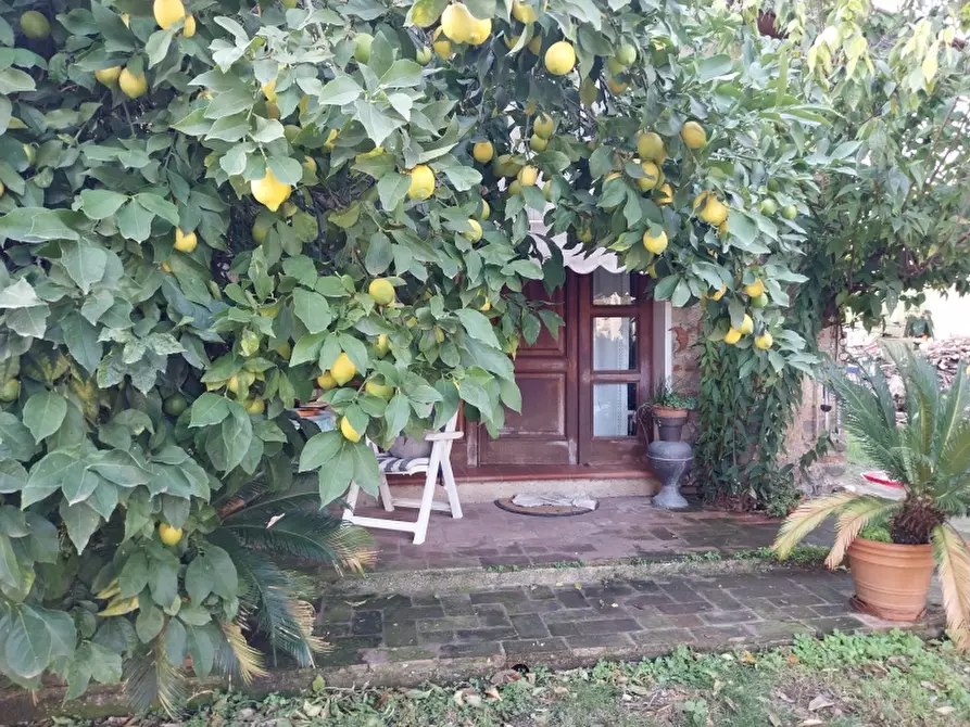 Immagine 17 di Rustico / casale in vendita  in Via Aurelia a Pietrasanta