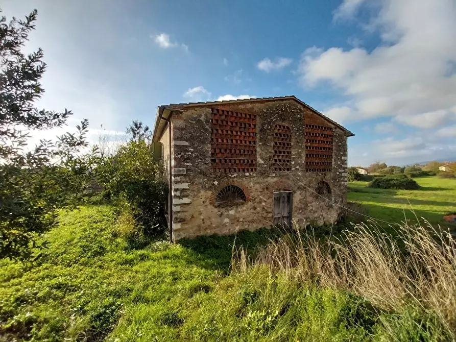 Immagine 5 di Rustico / casale in vendita  in Via Aurelia a Pietrasanta
