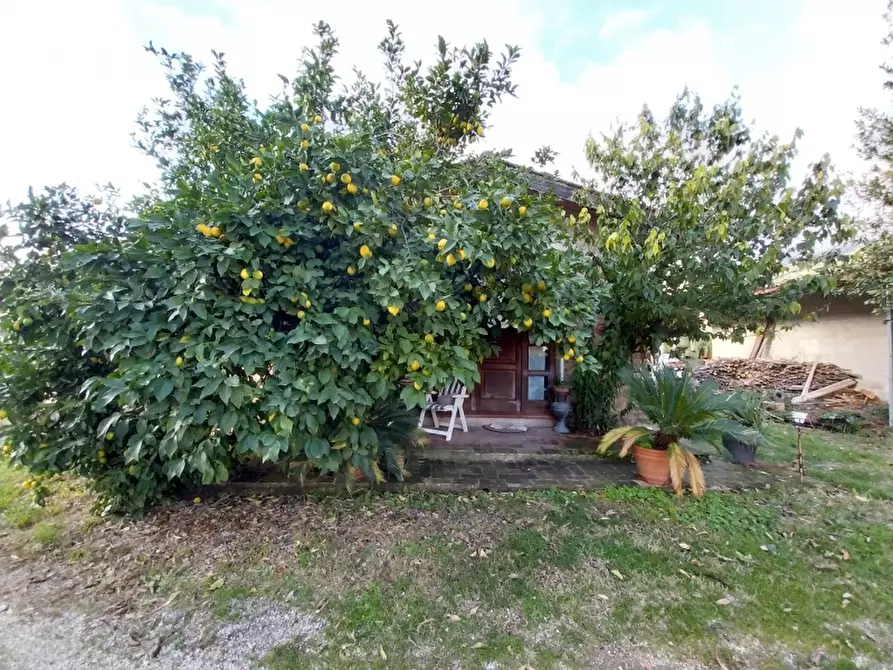 Immagine 8 di Rustico / casale in vendita  in Via Aurelia a Pietrasanta