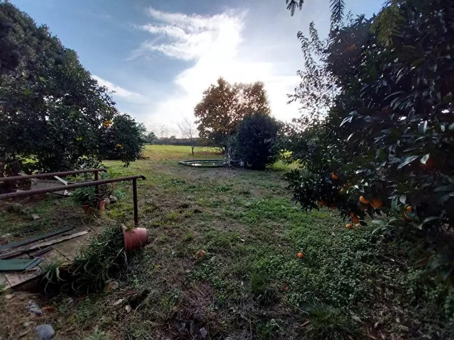 Immagine 10 di Rustico / casale in vendita  in Via Aurelia a Pietrasanta