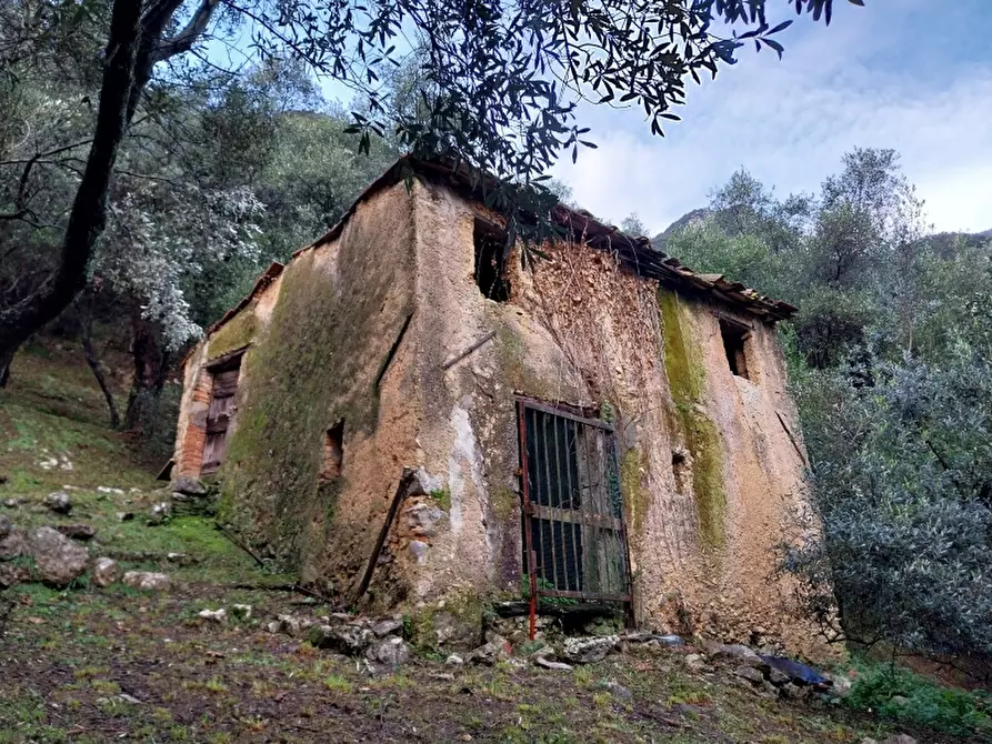 Immagine 1 di Terreno agricolo in vendita  in Via per casoli a Camaiore