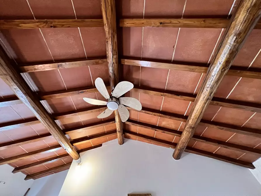 Immagine 32 di Villa in vendita  in Via Traversagna a Pietrasanta