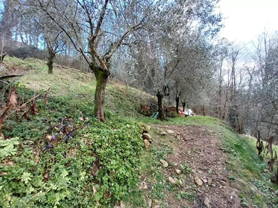 Immagine 3 di Casa indipendente in vendita  in Via per Arni a Seravezza