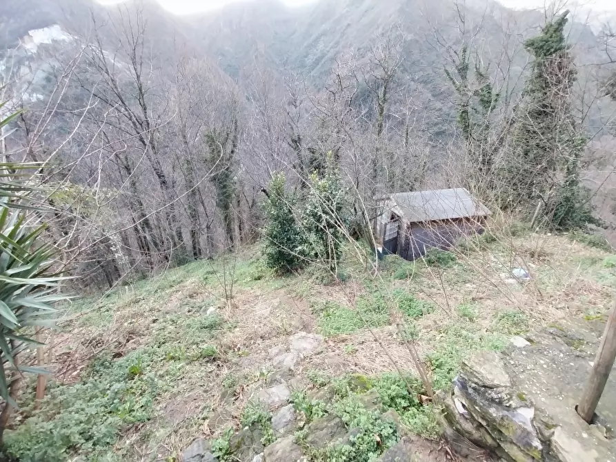 Immagine 5 di Casa indipendente in vendita  in Via per Arni a Seravezza