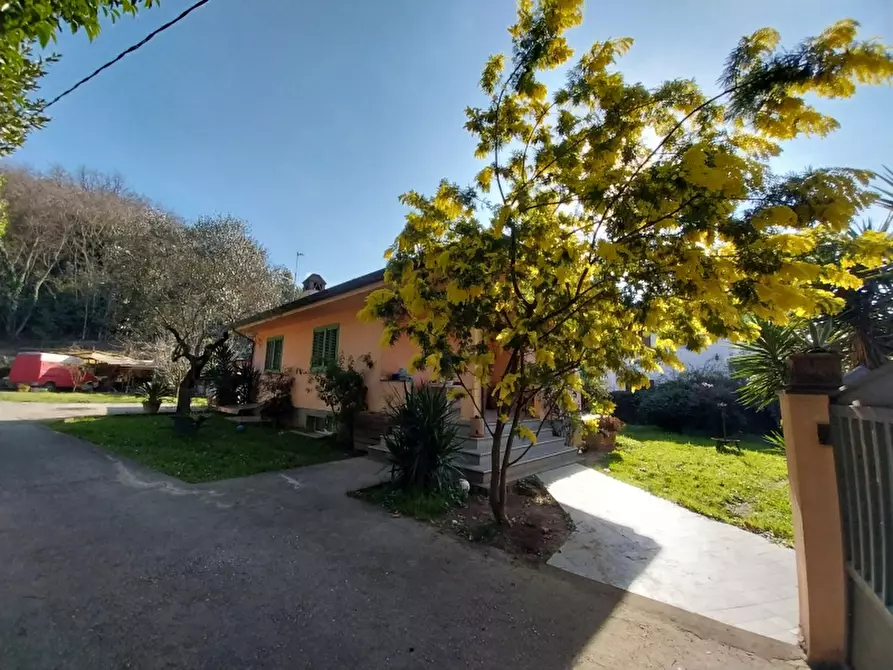 Immagine 2 di Villa in vendita  a Massarosa