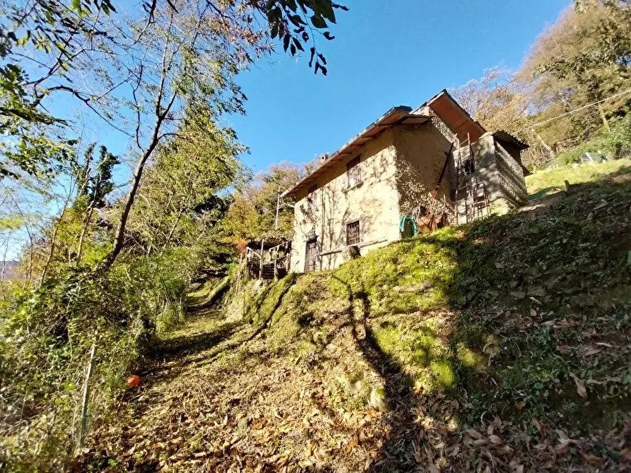 Immagine 1 di Casa indipendente in vendita  a Stazzema