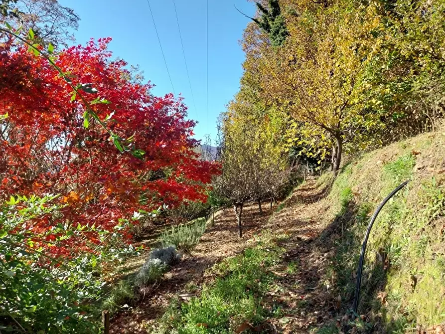 Immagine 6 di Casa indipendente in vendita  a Stazzema