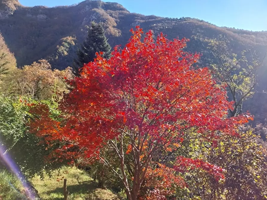 Immagine 7 di Casa indipendente in vendita  a Stazzema