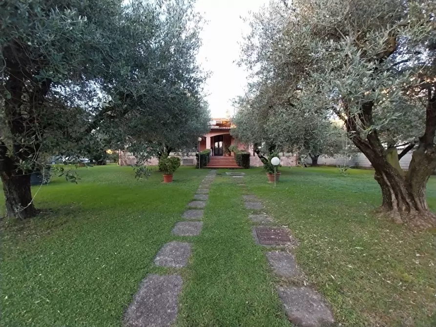 Immagine 2 di Villa in vendita  a Carrara