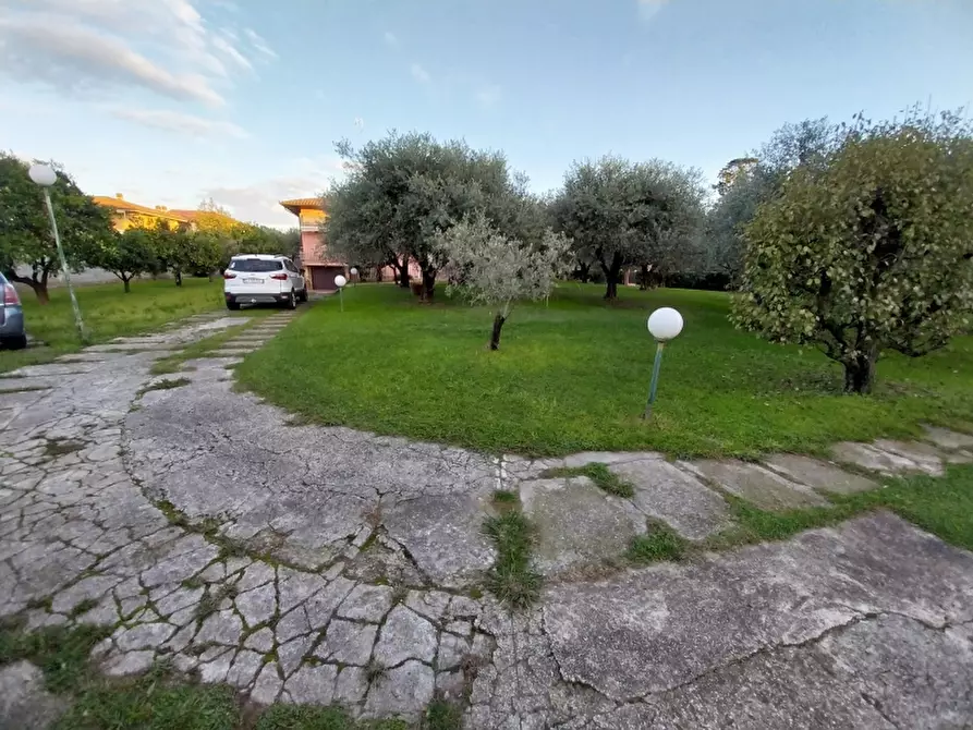 Immagine 25 di Villa in vendita  a Carrara