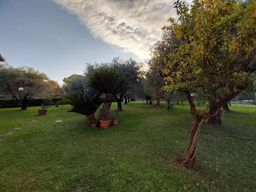 Immagine 5 di Villa in vendita  a Carrara