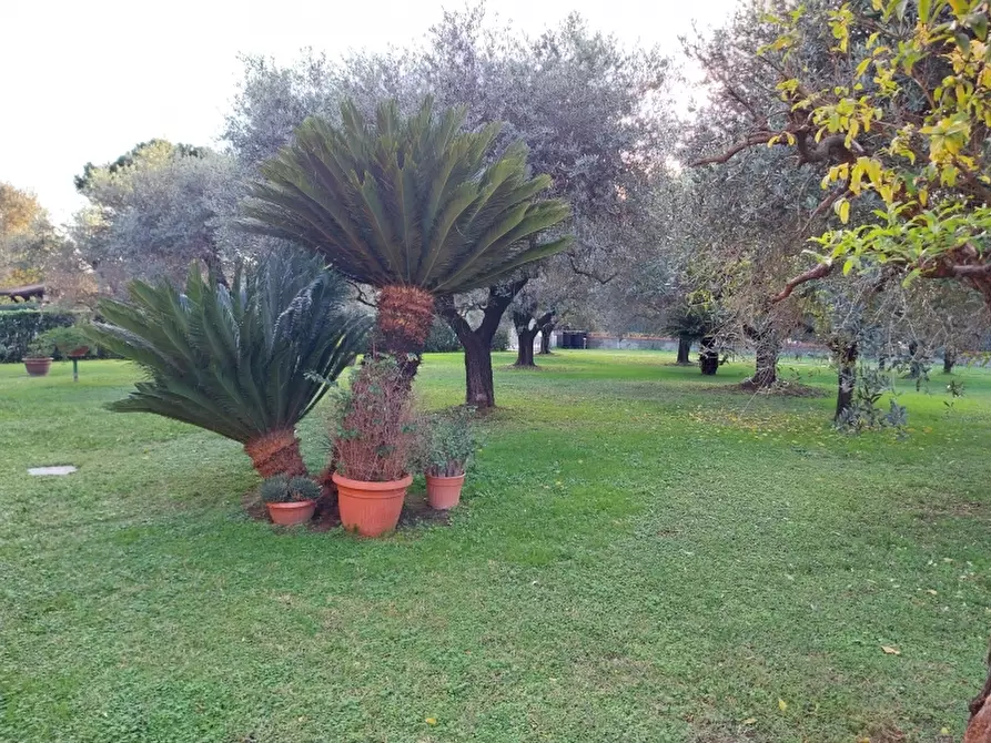 Immagine 6 di Villa in vendita  a Carrara